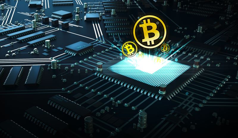 Market Analysis and Forecasts